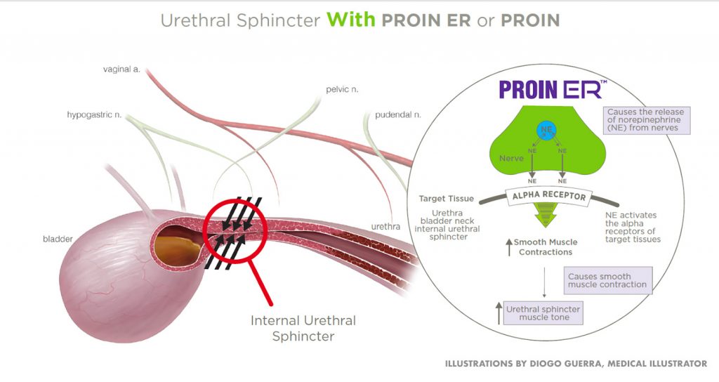 Proin best sale