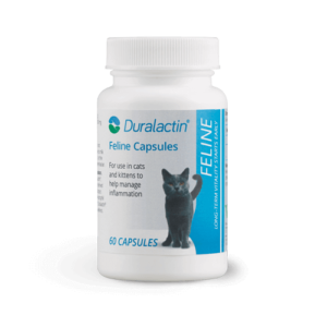 Duralactin Feline Capsules