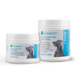 Duralactin Canine Joint Plus