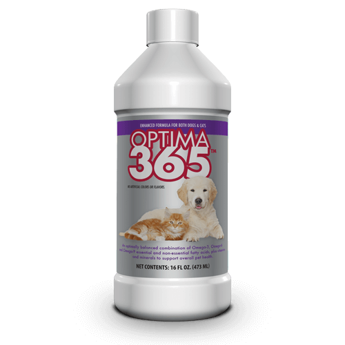 Amazing nutritionals chewable fish oil for dogs hotsell