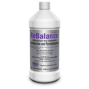 ReBalance