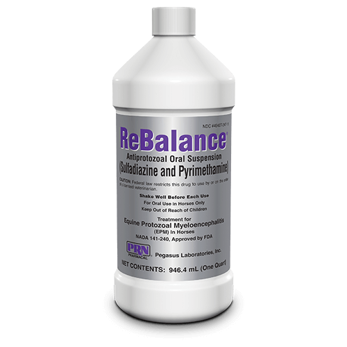 ReBalance
