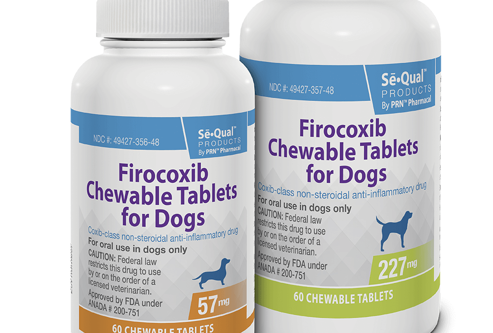 Pegasus Receives FDA Approval for Second Generic Pharmaceutical: Firocoxib Tablets for Dogs