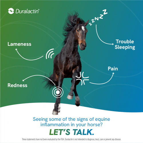 DuralactinSocialMediaAssets_HorseSingle2